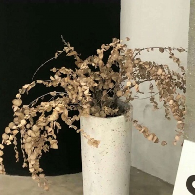 岳阳楼FurryQQ群介绍